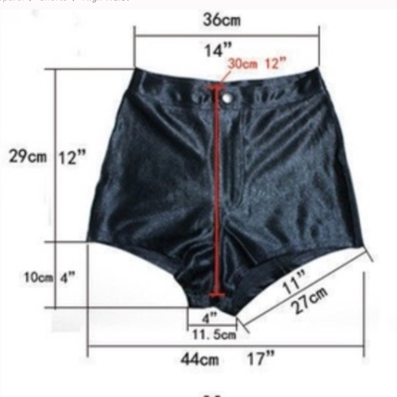 American Apparel High Waisted Shiny Disco Shorts - Picture 5 of 6